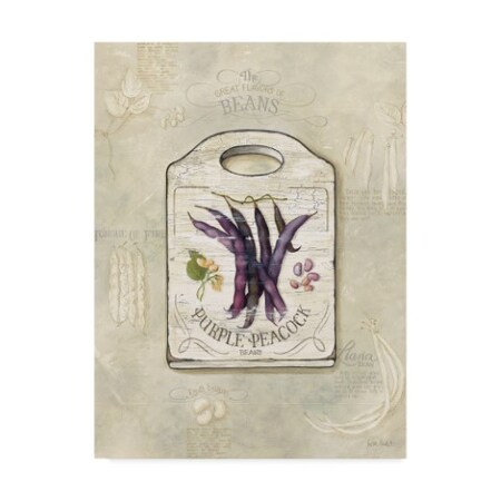 Trademark Fine Art Lisa Audit 'Beans' Canvas Art, 14x19 ALI24926-C1419GG